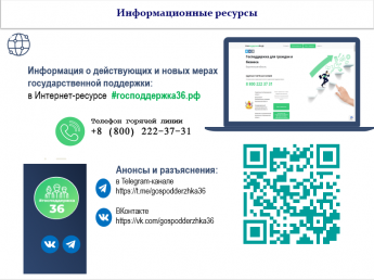 Перечень федеральных мер для развития экономики в условиях санкционного давления реализуемых на территории Воронежской области в 2023 году